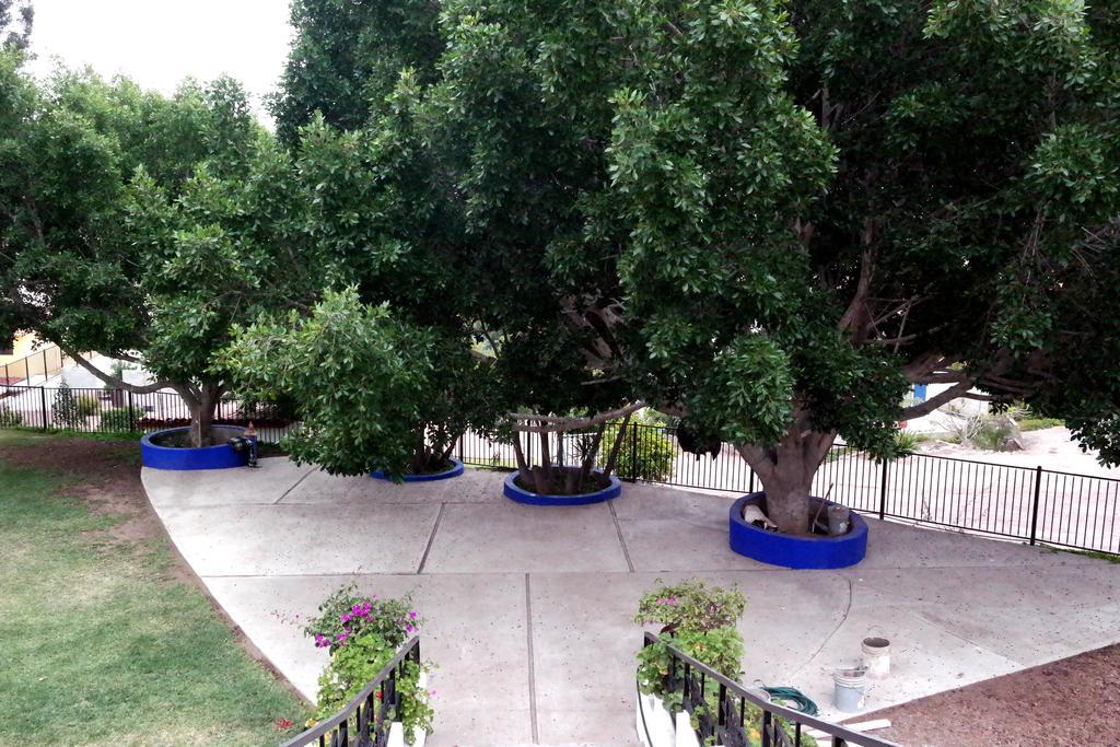 Quinta Los Arrayanes Ensenada Exterior foto